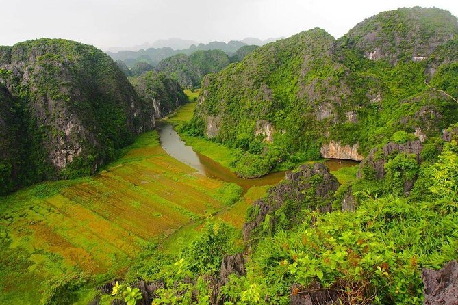 Ninh Binh - Hoa Lu - Mua Cave - Tam Coc 1 Day Tour - Lunch, bicycles, and a closer look at rural life