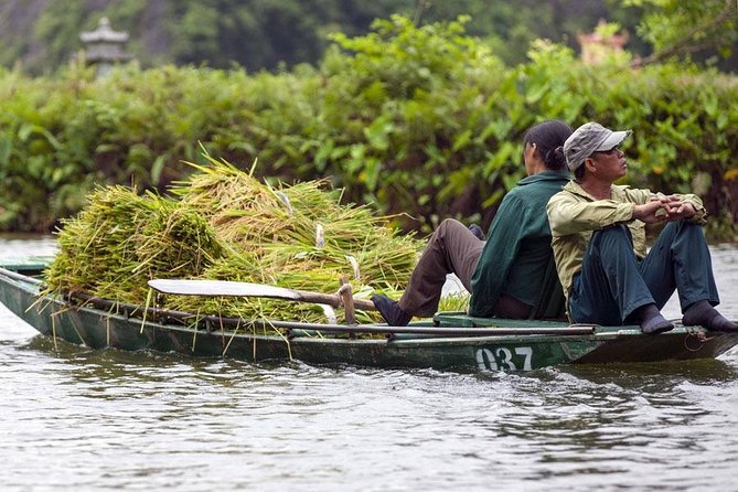 Ninh Binh - Hoa Lu - Mua Cave - Tam Coc 1 Day Tour - Who should book this outing