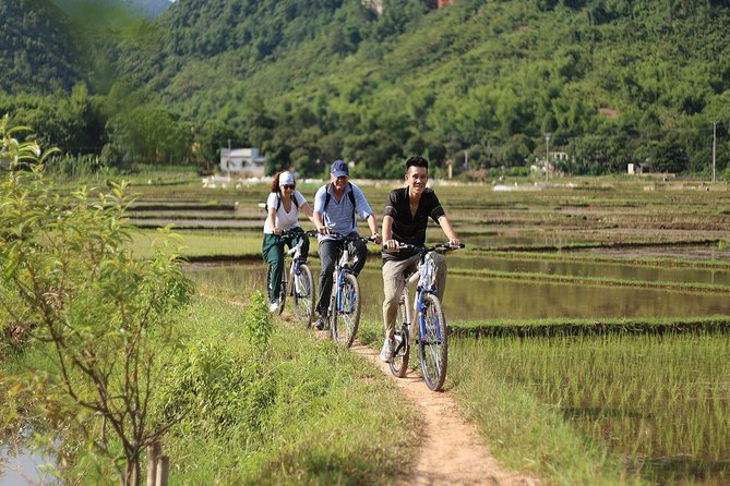 Ninh Binh-Hoa Lu-Tam Coc - Mua cave - Dragon Mountain Hiking 1 Day Tour - The early road to Hoa Lu