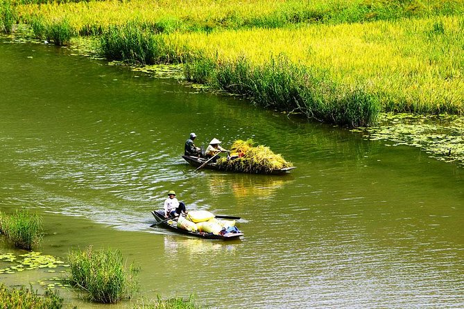 Ninh Binh-Hoa Lu-Tam Coc - Mua cave - Dragon Mountain Hiking 1 Day Tour - Mua Cave and the Dragon Mountain climb