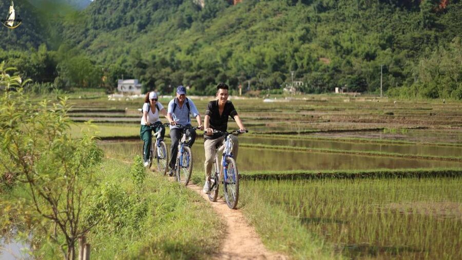 Ninh Binh - Hoa Lu - Tam Coc - Mua Caves & Buffet Lunch - Should you book the Hoa Lu, Tam Coc, and Mua Cave tour?