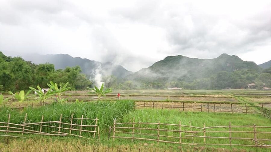Ninh Binh - Hoa Lu - Tam Coc - Mua Caves & Buffet Lunch - The return to Hanoi and the value of the schedule