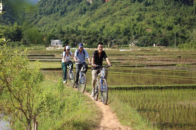 NINH BINH MEMORABLE DAY: Hoa Lu, Mua Cave, boat trip Tam Coc, Trang An optional - Tips for making the long day easier