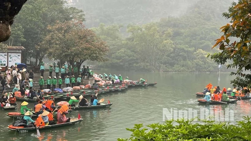 Ninh Binh: Mua Cave Hike, Trang An Boat & Village Bike Tour - A full day built around Ninh Binh’s best sights
