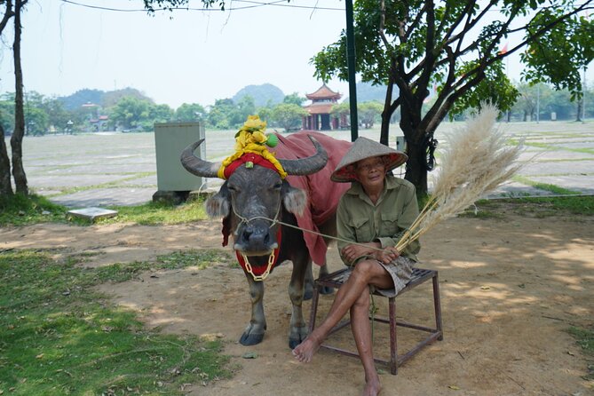 Ninh Binh One Day Trips- from Hanoi - One hour of cycling through rural villages