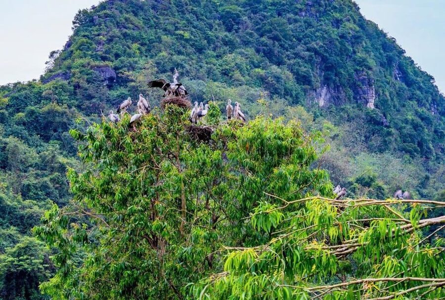 Ninh Binh Private Tour: Tam Coc, Bich Dong and Thung Nham - Optional cycling through the Ninh Binh countryside