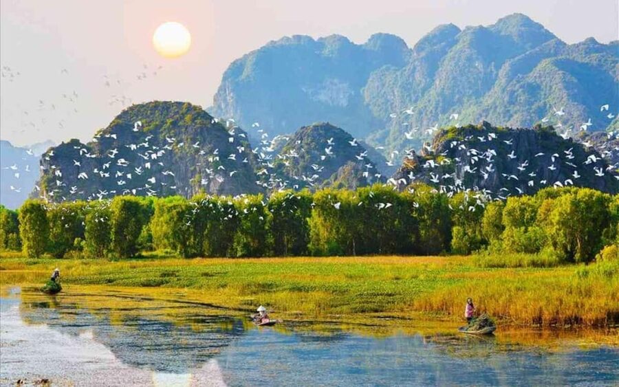 Ninh Binh Private Tour: Tam Coc, Bich Dong and Thung Nham - Guide quality, group size, and what private really means