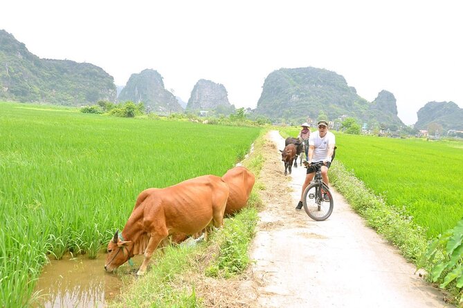 Ninh Binh Private Tour to Mua Cave Trang An Grottoes From Hanoi - Cycling through Tam Coc and meeting a local family