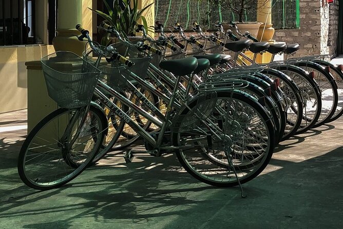 Ninh Binh Private VIP Tour - Is $403 a fair price for this day?