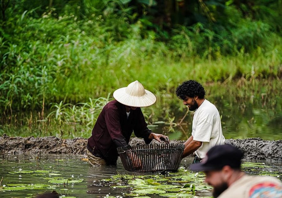 Ninh Binh: Rice planting and fishing by basket tour - Key points at a glance