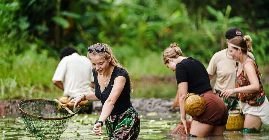 Ninh Binh: Rice planting and fishing by basket tour - Buffalo feeding, washing, and riding