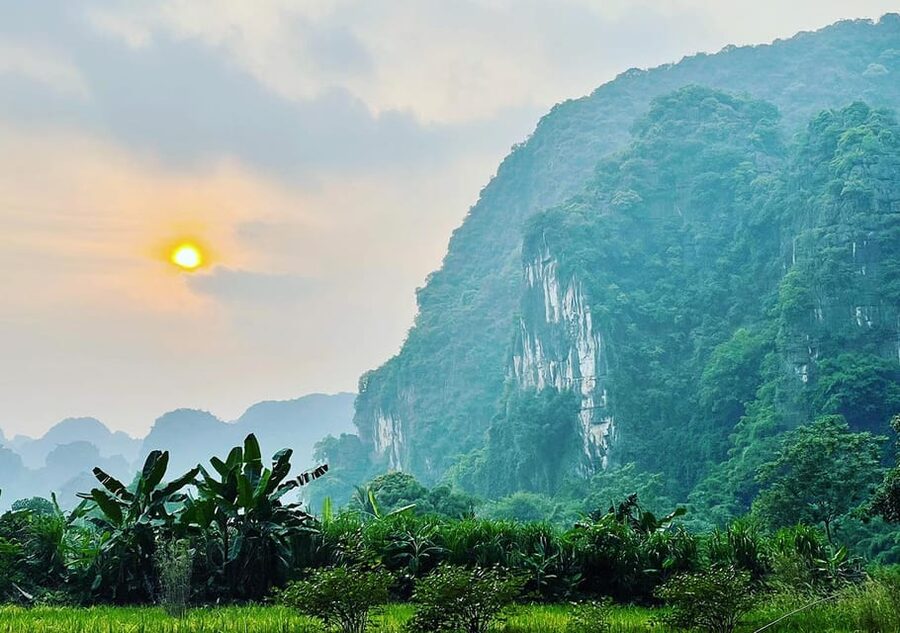 Ninh Binh: Rice planting and fishing by basket tour - Learning the rice cycle before planting