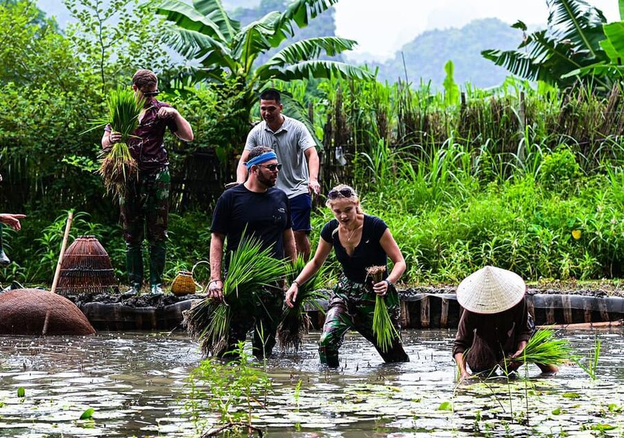 Ninh Binh: Rice planting and fishing by basket tour - Catching fish with a traditional nom