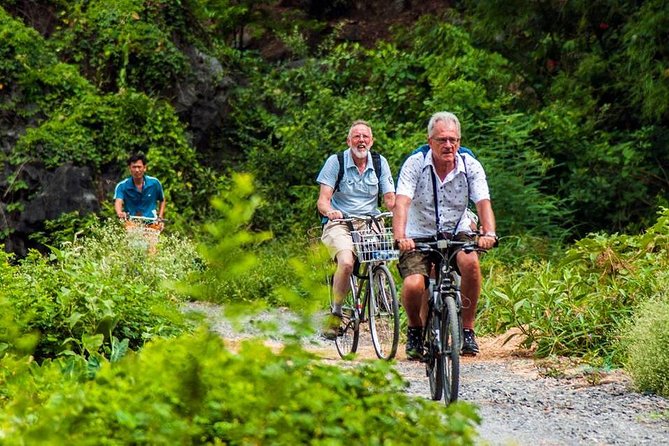 Ninh Binh Tour Hoa Lu Tam Coc Full Day: Biking,Boating,Tickets,Lunch, Limousine - Rowing through Tam Coc’s three caves