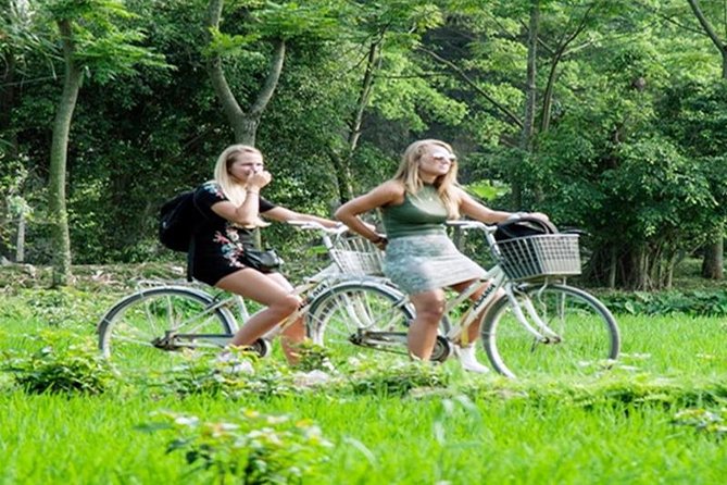Ninh Binh Tour Hoa Lu Tam Coc Full Day: Biking,Boating,Tickets,Lunch, Limousine - Transport, timing, and group size