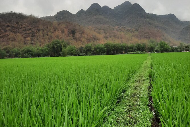 Noi Bai Airport transfer to Hotel or Vice versa - The 40 to 50 minute drive into Hanoi