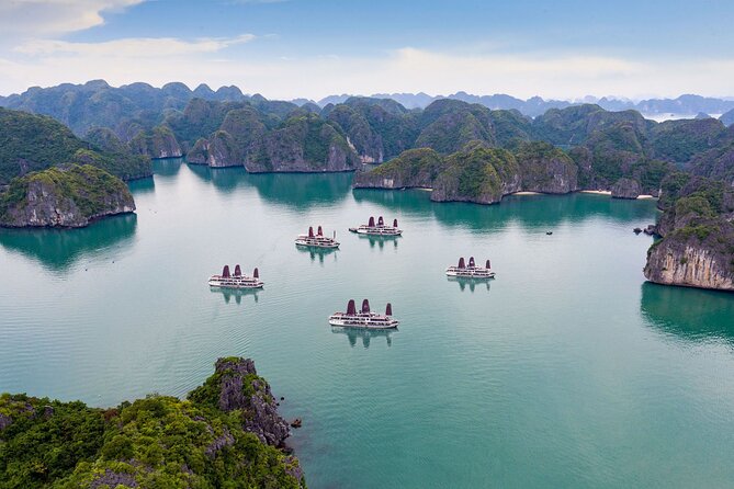 Orchid Trendy Cruises 2Days/1 Night 5 Star Cruises - An evening aboard the ship