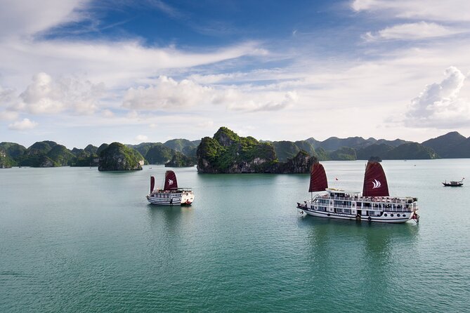 Overnight Bai Tu Long Bay Cruise from Hanoi - Ha Long Bay All-Inclusive - Sunrise tai chi and the rushed second morning