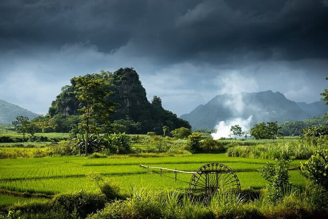 Private 1 day in Ninh Binh with Hoa Lu, Trang An and Mua cave - What the guide adds beyond transport