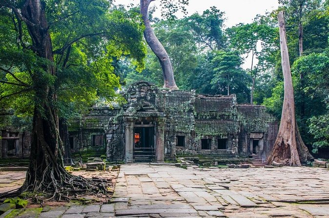 Private 15-Day Tour in Vietnam Laos and Cambodia - Days 10 through 12: Hoi An, the Hai Van Pass, and imperial Hue
