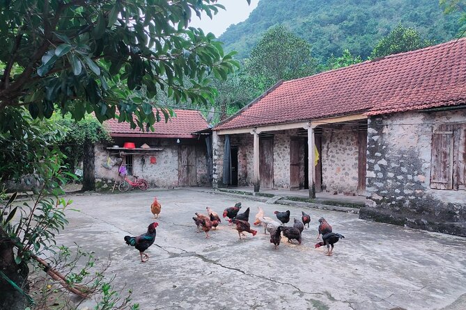 Private Boat and Biking Tour in Ninh Binh (Trang An - Hang Mua) - Why the private format matters