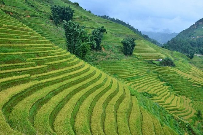 Private Car and Tour Guide Exploring Northern Vietnam - Day 2: local communities and Ban Gioc Waterfall