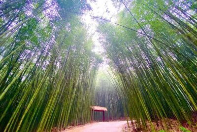 Private Car and Tour Guide Exploring Northern Vietnam