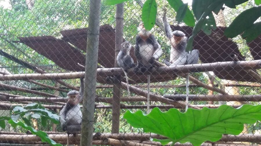 Private Day Tour: Cuc Phuong National Park from Hanoi - Booking details that matter