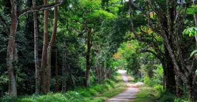 Private Day Tour: Cuc Phuong National Park from Hanoi