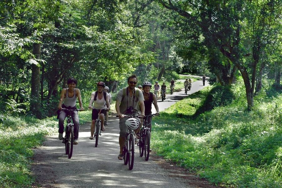 Private Day Tour: Cuc Phuong National Park from Hanoi - A forest hike with caves, birds, and rare plants