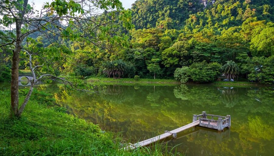 Private Day Tour: Cuc Phuong National Park from Hanoi - Timing, effort, and the shape of the day