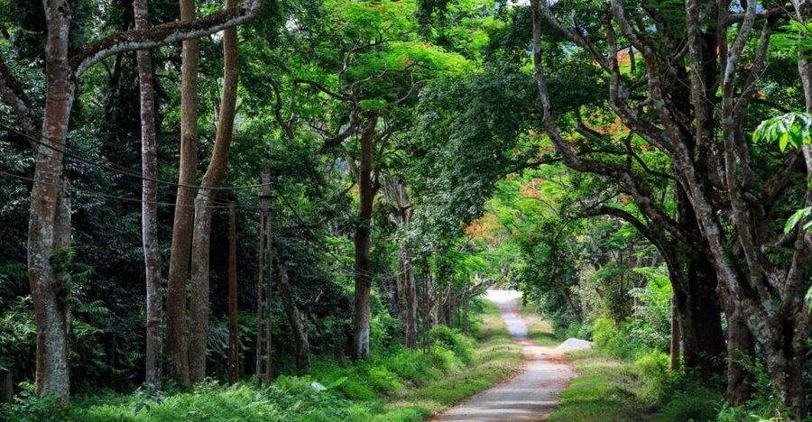 Private Day Tour: Cuc Phuong National Park from Hanoi - Leaving Hanoi for the park