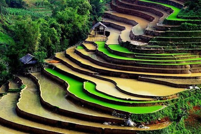 Private Full-Day Tour to Halong Bay from Hanoi - Food, drinks, and what the price covers