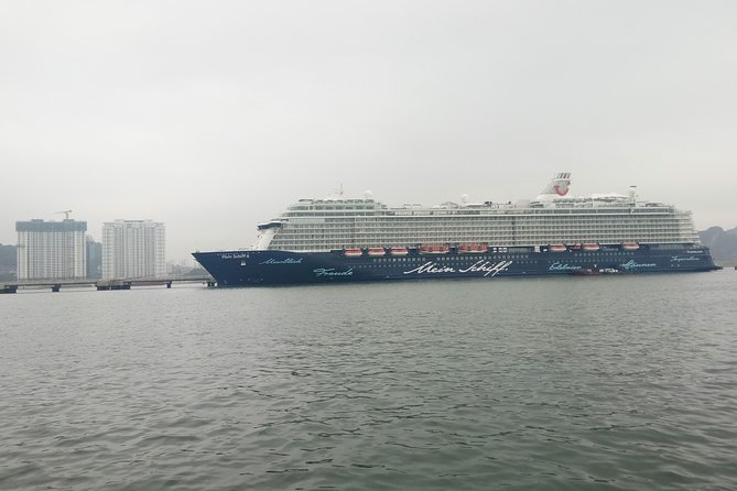 Private Ha Long bay day trip(From Hanoi city or Halong harbour) - Guide quality makes a big difference