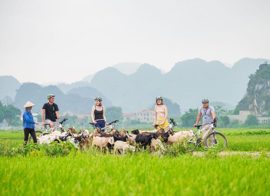 Private Luxury 1 Day Trip: Hoa Lu, Tam Coc, Mua Cave, Biking - Cycling through the peaceful countryside