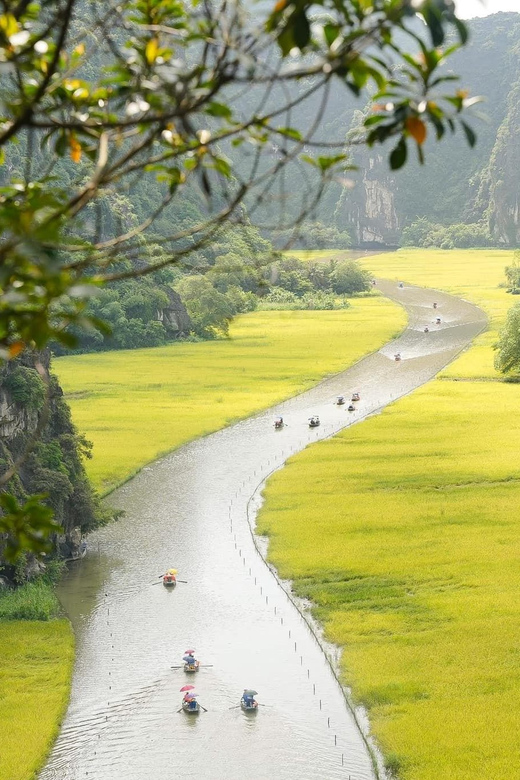Private Luxury 1 Day Trip: Hoa Lu, Tam Coc, Mua Cave, Biking - Hoa Lu and Vietnam’s early royal capital