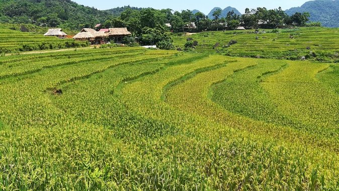 Private transfers Hanoi <=> Puluong 1 Way (Free Hotel Pickup) - Arriving in Pu Luong