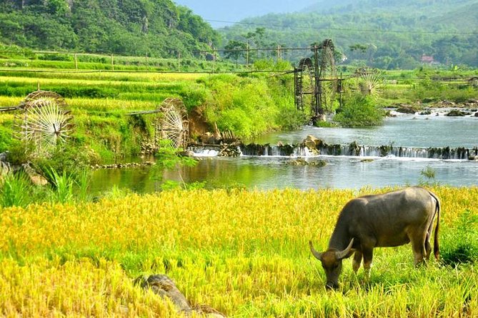 Private transfers Hanoi <=> Puluong 1 Way (Free Hotel Pickup) - The 180-kilometer road to Pu Luong
