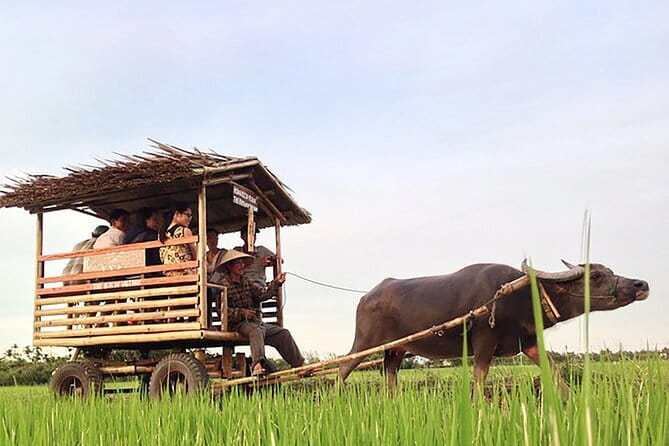 Pu Luong 3-Day Adventure: Trekking, Cycling & Local Cooking Class - Why Pu Luong works so well for three days