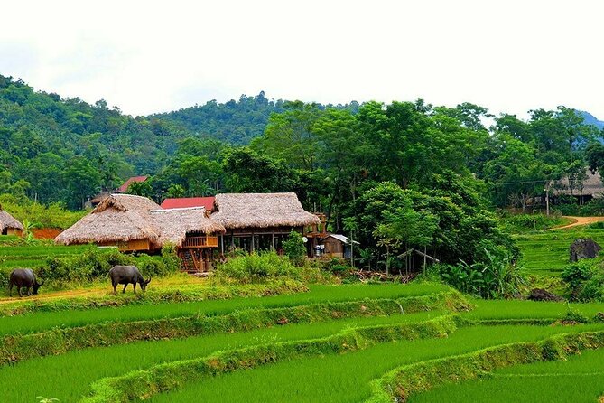 Pu Luong Nature Reserve 2 Days 1 Night Tour from Hanoi - Pu Luong gives you a rural side of Vietnam