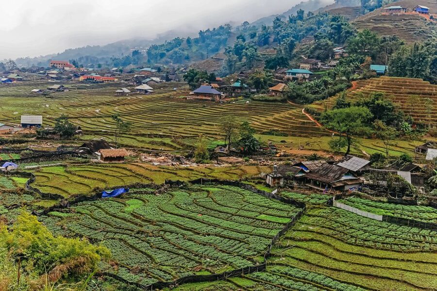 Sapa: 3-Day, 3-Night Trek and Hotel with Overnight Train - Why this Sapa trip works well