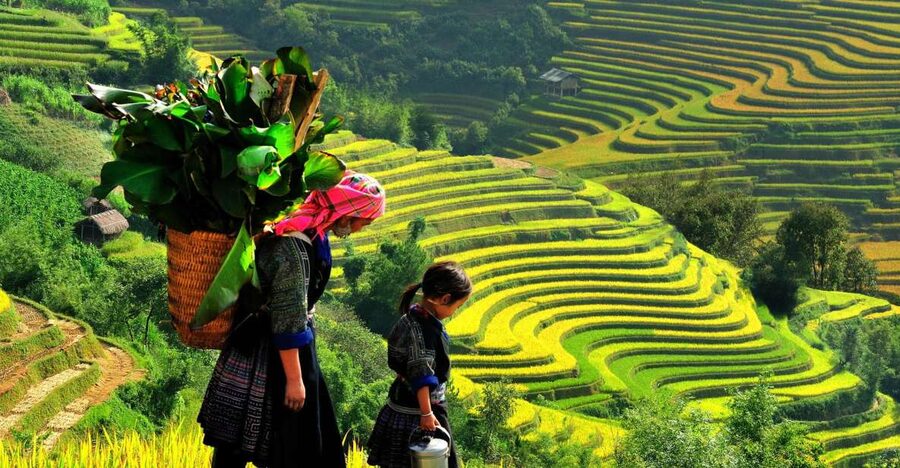Sapa: 3-Day, 3-Night Trek and Hotel with Overnight Train - Day one: Sin Chai and the Black Hmong