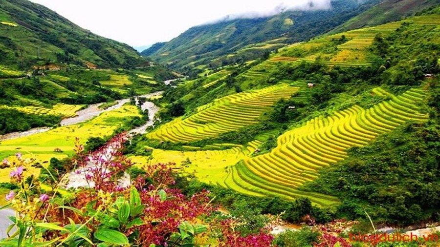 Sapa: 3-Day, 3-Night Trek and Hotel with Overnight Train - What the guides add to the walk