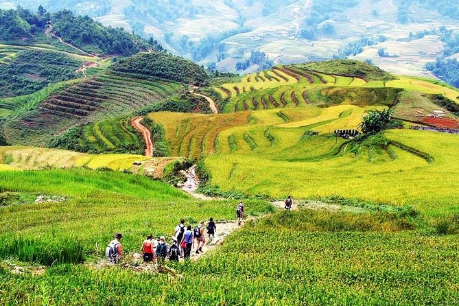 Sapa 3 Days 2 Nights Trekking Tour (1 Night In Ta Van Village, 1 Night In Hotel) - What this Sapa trek is really like