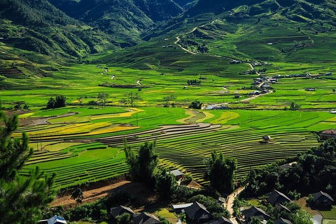 Sapa 3 Days 2 Nights Trekking Tour (1 Night In Ta Van Village, 1 Night In Hotel) - Guides, group size, and the human side of the walk