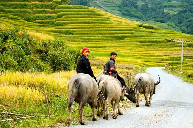 Sapa 3 Days 2 Nights Trekking Tour (1 Night In Ta Van Village, 1 Night In Hotel) - Day two: the long walk from Sapa to Ta Van