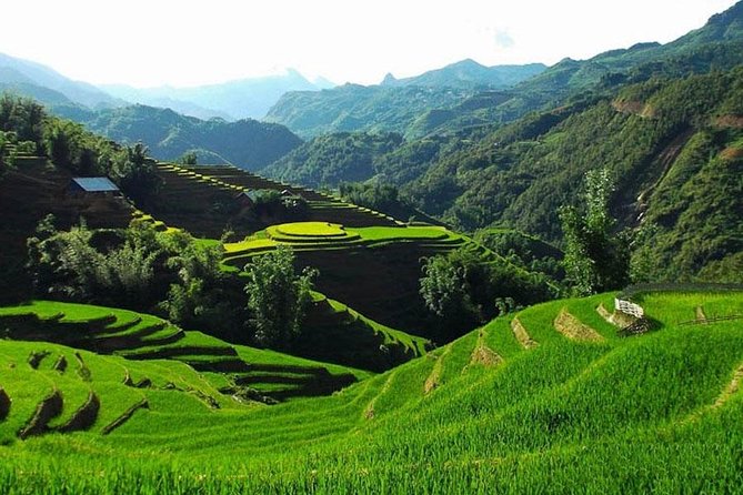 Sapa 3 Days 2 Nights Trekking Tour From Hanoi (2 Nights in Hotel) - The Muong Hoa walk from Lao Chai to Ta Van