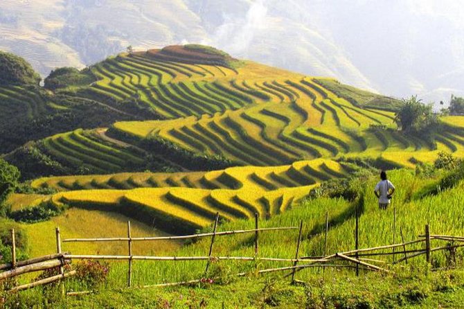 Sapa Tours 2D1N stay At 4 stars hotel nice Sleeping Bus TRANSFER - Afternoon at Cat Cat and Sin Chai