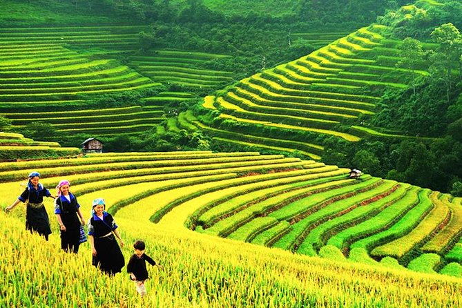 Sapa Tours 2D1N stay At 4 stars hotel nice Sleeping Bus TRANSFER - The sleeping bus from Hanoi