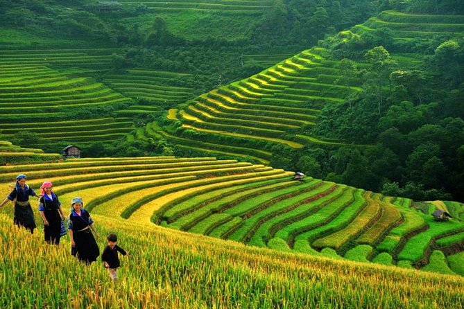 Sapa Trek Tours -2D1N Stay At 3*** -TRANSFER BY SLEEPING BUS - Why this Sapa trip works well from Hanoi